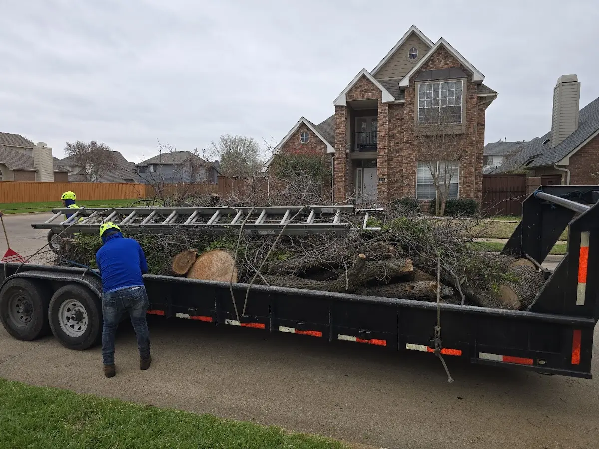 Expert Lot Clearing with proper safety equipment in Rutherford